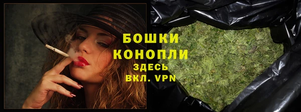 2c-b Горно-Алтайск