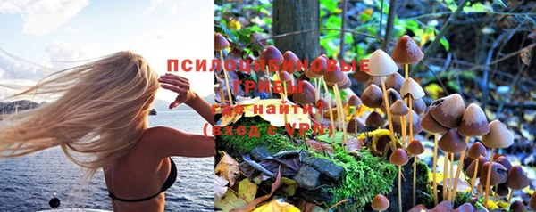 2c-b Горно-Алтайск