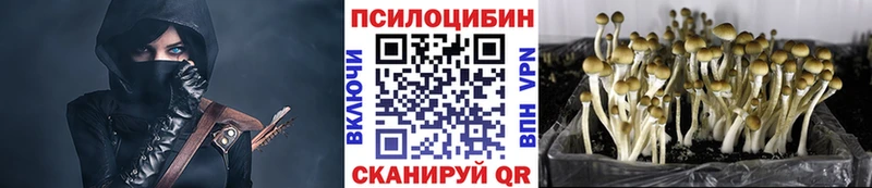 Псилоцибиновые грибы мухоморы  blacksprut вход  Дигора 